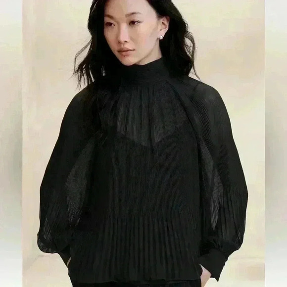 Banana Republic PLEATED VOLUME-SLEEVE BLOUSE - Picture 1 of 4